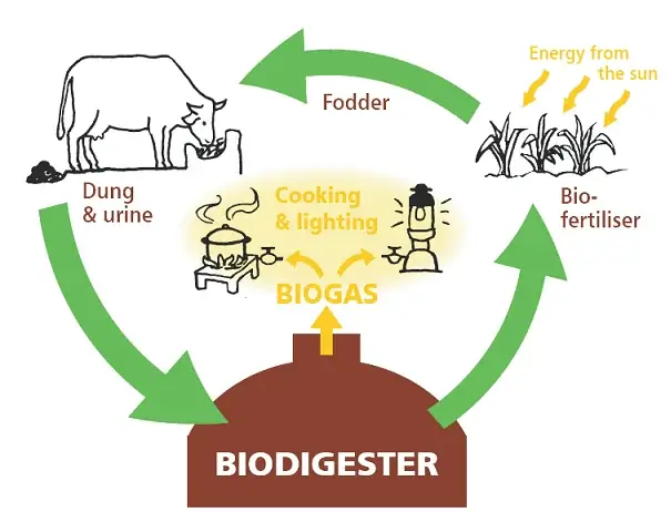 Biodigester Là Gì? Cấu Tạo, Nguyên Lý Hoạt Động Và Ứng Dụng Thực Tế