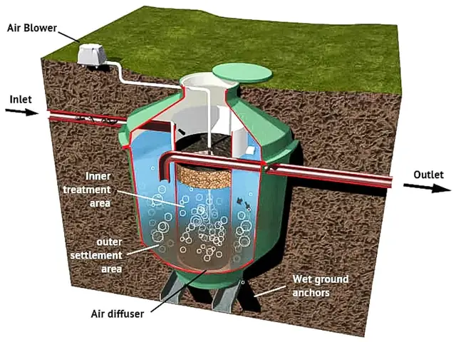 Biodigester Là Gì? Cấu Tạo, Nguyên Lý Hoạt Động Và Ứng Dụng Thực Tế