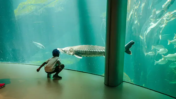 Biodome Là Gì? Khám Phá Các Vòm Sinh Thái Độc Đáo Trên Thế Giới