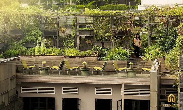 Biophilic Design Là Gì? Khái Niệm, Lợi Ích Và Cách Ứng Dụng Thiết Kế Ưa Sinh Học