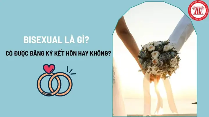 Bisexual Là Gì? Định Nghĩa, Đặc Điểm Và Phân Biệt Với Các Xu Hướng Tính Dục Khác