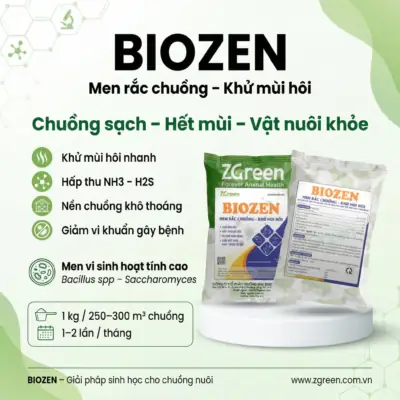Biozen Là Gì? Công Dụng, Ứng Dụng Và Các Loại Sản Phẩm Biozen Phổ Biến