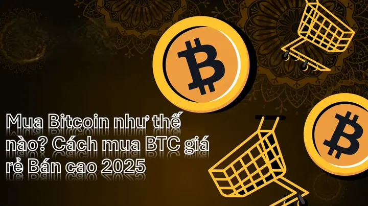 Bitcoin Là Gì? Hướng Dẫn Chi Tiết Cho Người Mới Bắt Đầu Và Cách Đầu Tư An Toàn