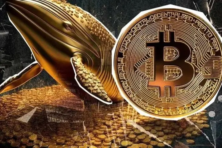 Bitcoin Price Là Gì? Hiểu Rõ Giá Bitcoin Và Thị Trường Tiền Mã Hóa