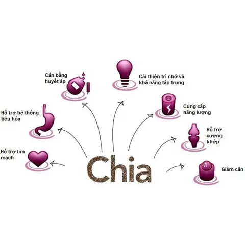 Black Bag Chia Là Gì? Hạt Chia Úc "siêu Thực Phẩm" Cho Sức Khỏe