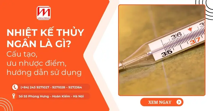 Cam Máu (blood Orange) Là Gì? Khám Phá Đặc Điểm, Lợi Ích Và Cách Nhận Biết
