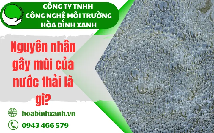 Blued Là Gì? Hướng Dẫn Sử Dụng Ứng Dụng Hẹn Hò Cộng Đồng LGBTQ+ Blued Là Gì? Hướng Dẫn Sử Dụng Ứng Dụng Hẹn Hò Cộng Đồng LGBTQ+