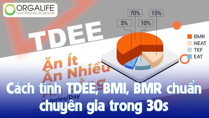 BMR Và TDEE Là Gì? Hướng Dẫn Tính Toán Chi Tiết & Ứng Dụng Trong Kiểm Soát Cân Nặng