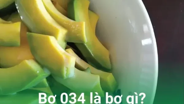 Bơ 034 Là Gì? Nguồn Gốc, Đặc Điểm Và Cách Chọn Mua Ngon