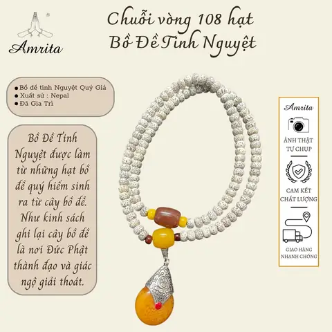 Bồ Đề Tinh Nguyệt Là Gì? Khám Phá Nguồn Gốc, Ý Nghĩa Và Cách Phân Biệt