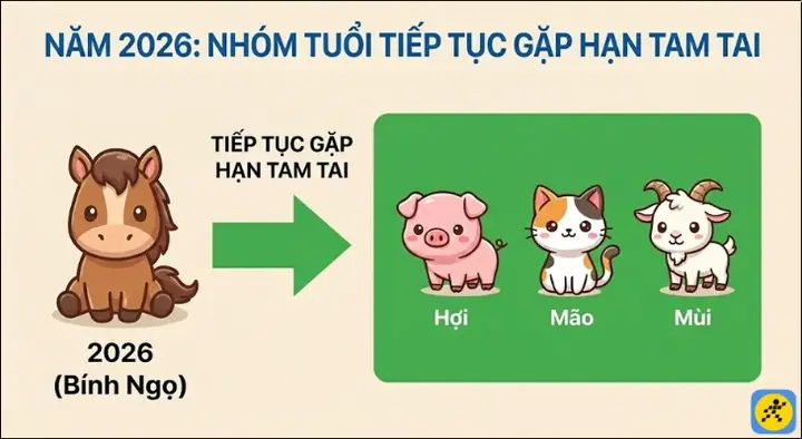Bộ Đồ Thế Cúng Tam Tai Là Gì? Hướng Dẫn Chuẩn Bị Lễ Vật Đầy Đủ Bộ Đồ Thế Cúng Tam Tai Là Gì? Hướng Dẫn Chuẩn Bị Lễ Vật Đầy Đủ