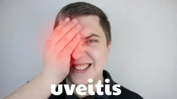 Bó His Là Gì? Cấu Tạo, Chức Năng Và Vai Trò Trong Hệ Dẫn Truyền Tim
