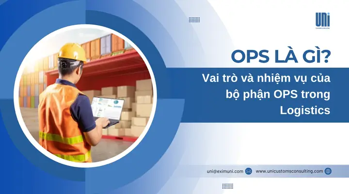 Bộ Phận Back Office (BO) Là Gì? Vai Trò, Công Việc Và Các Vị Trí