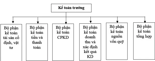 Bộ Phận Kế Toán Là Gì? Chức Năng, Nhiệm Vụ Và Cơ Cấu Tổ Chức