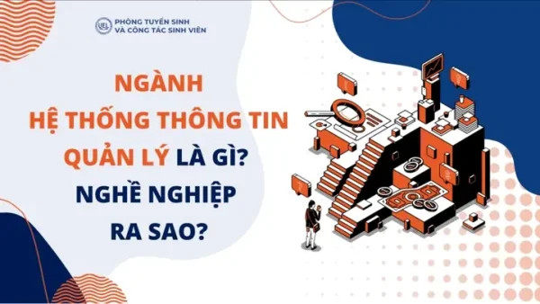 Bộ Quản Lý Ngành Là Gì? Định Nghĩa, Chức Năng Và Vai Trò