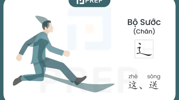 Bộ Sước Là Gì? Ý Nghĩa, Cách Viết Và Từ Vựng Liên Quan Trong Tiếng Trung