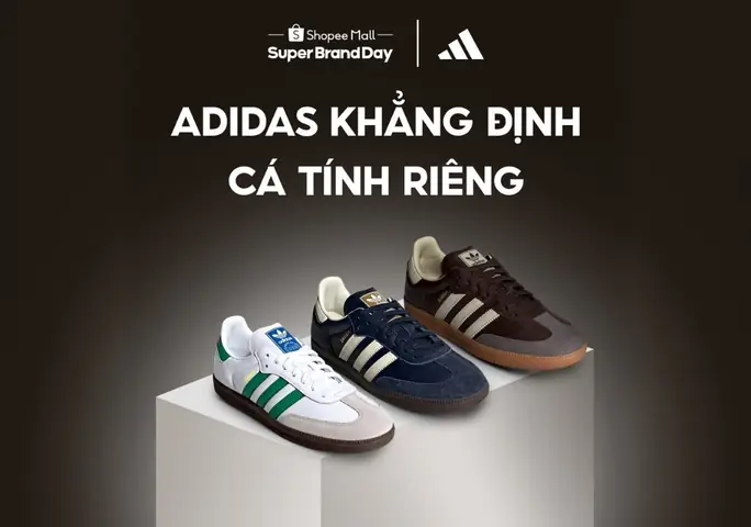 Bộ Sưu Tập Là Gì? Định Nghĩa, Phân Loại Và Ứng Dụng Thực Tế