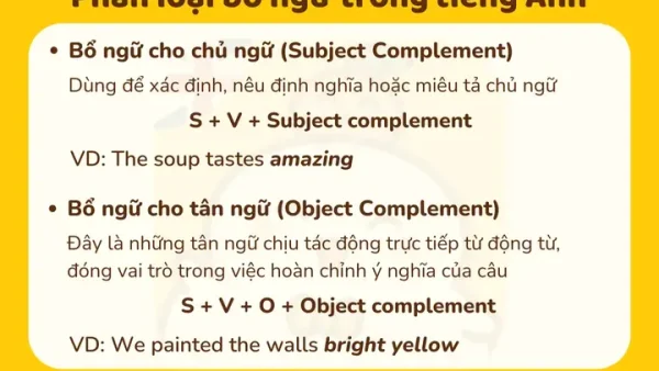 Bổ Tả Trong Châm Cứu Là Gì? Giải Mã Kỹ Thuật Châm Cứu Cổ Truyền & Ứng Dụng