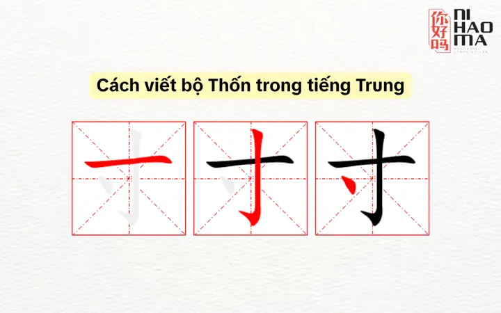 Bộ Thốn (寸) Nghĩa Là Gì? Hướng Dẫn Chi Tiết Từ A-Z Về Bộ Thủ Này Trong Tiếng Hán