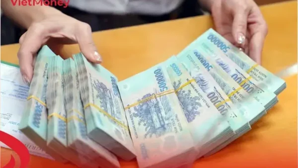 Bốc Bát Họ Là Gì? Rủi Ro Pháp Lý Và Cách Nhận Biết Tín Dụng Đen