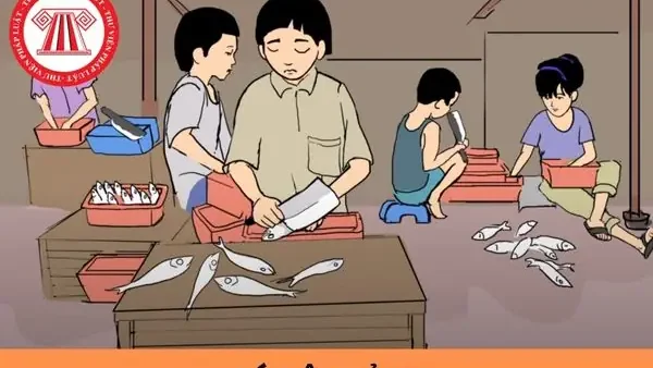 Bóc Lột Trẻ Em Là Gì? Quy Định Pháp Luật Và Cách Phòng Chống