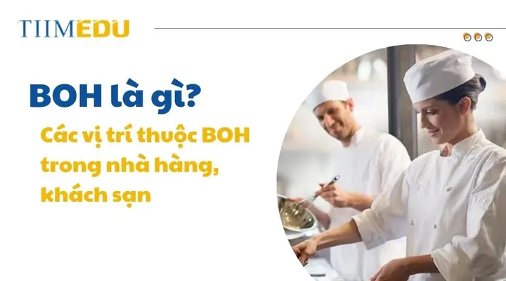 BOH Là Gì? Khám Phá Vai Trò Và Các Vị Trí Cốt Lõi Trong Hậu Sảnh Nhà Hàng