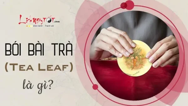 Bói Bài Trà (tea Leaf Fortune Cards) Là Gì? Hướng Dẫn Chi Tiết Cách Xem & Giải Nghĩa