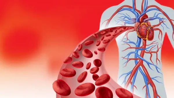 Bồi Bổ Khí Huyết Là Gì? Bí Quyết Tăng Cường Sức Khỏe Và Sắc Đẹp Từ Đông Y