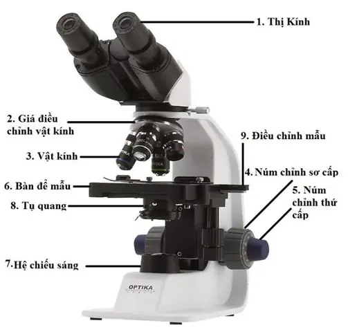 Số Bội Giác Là Gì? Công Thức Tính Độ Bội Giác Chi Tiết Nhất