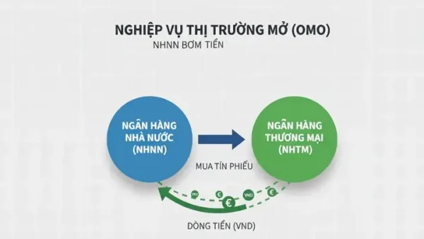 Bơm Ròng Tiền Là Gì? Cơ Chế Hoạt Động Và Tác Động Đến Nền Kinh Tế