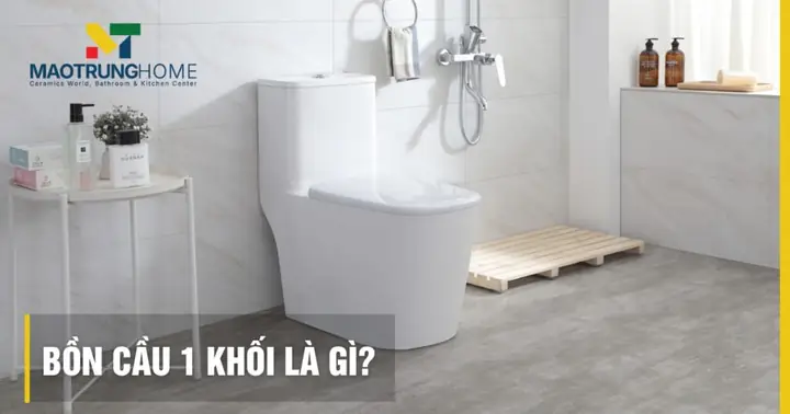 Bồn Cầu 1 Khối Hay 2 Khối: Nên Chọn Loại Nào Cho Gia Đình?