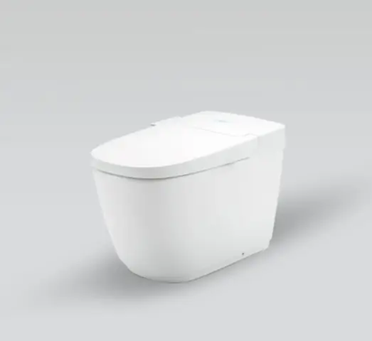 Bồn Cầu Tiếng Trung Là Gì? Từ Vựng & Ý Nghĩa Đầy Đủ Nhất Bồn Cầu Tiếng Trung Là Gì? Từ Vựng & Ý Nghĩa Đầy Đủ Nhất