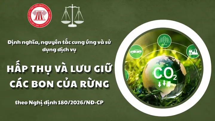 "bổn Cung" Nghĩa Là Gì? Ý Nghĩa Và Cách Sử Dụng Trong Lịch Sử & Văn Hóa Cung Đấu
