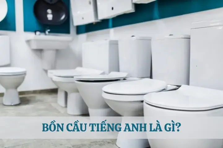 "bổn Cung" Nghĩa Là Gì? Ý Nghĩa Và Cách Sử Dụng Trong Lịch Sử & Văn Hóa Cung Đấu