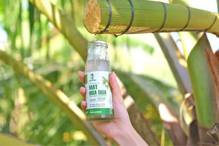 Bông Dừa Là Gì? Khám Phá Ý Nghĩa, Công Dụng Và Phân Biệt Các Loại
