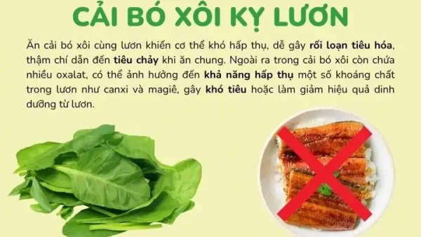 Bông Xôi Heo Là Gì? Khám Phá Món Ăn Vặt Hấp Dẫn Kèm Vú Heo