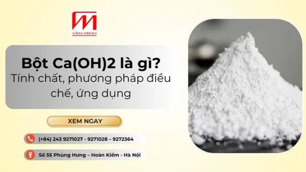 Bột Điều Là Gì? Phân Loại, Công Dụng Và Cách Sử Dụng Hiệu Quả