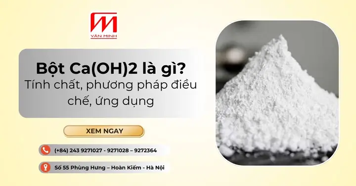 Bột Điều Là Gì? Phân Loại, Công Dụng Và Cách Sử Dụng Hiệu Quả