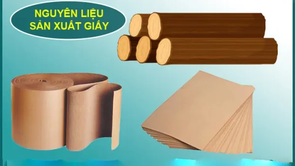 Bột Giấy Là Gì? Thành Phần, Quy Trình Sản Xuất Và Ứng Dụng Phổ Biến