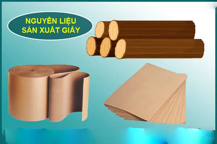 Bột Giấy Là Gì? Thành Phần, Quy Trình Sản Xuất Và Ứng Dụng Phổ Biến