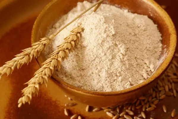 Bột Hữu Cơ Là Gì? Phân Biệt Và Lợi Ích Khi Sử Dụng