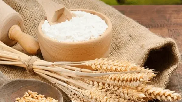 Bột Hữu Cơ Là Gì? Phân Biệt Và Lợi Ích Khi Sử Dụng