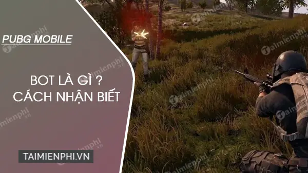 Bot Là Gì Trong PUBG Mobile? Hướng Dẫn Nhận Biết Và Phân Biệt Với Người Chơi Thật