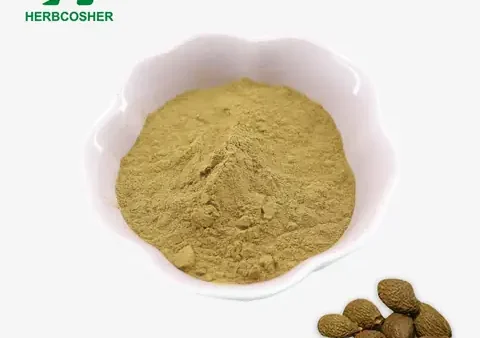 Bột Malva Là Gì? Công Dụng Và Ứng Dụng Trong Y Học