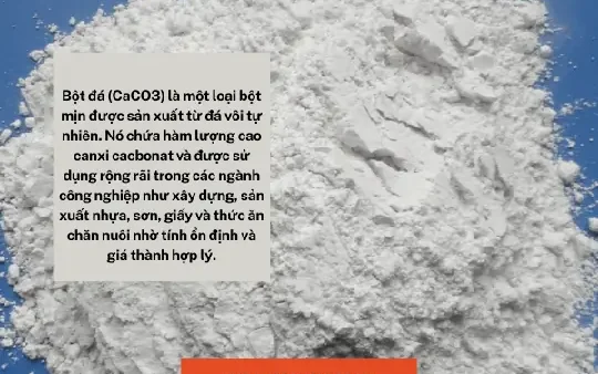 Bột Mịn Là Gì? Phân Loại, Đặc Điểm Và Ứng Dụng Chi Tiết