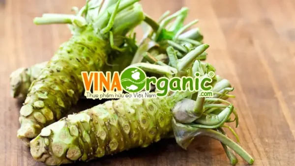 Bột Wasabi Là Gì? Phân Biệt Wasabi Thật – Giả Và Cách Sử Dụng Phổ Biến