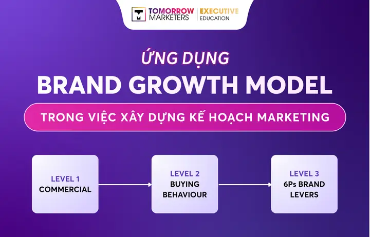Brand Development Là Gì? Hướng Dẫn Xây Dựng Thương Hiệu Từ A-Z Cho Doanh Nghiệp