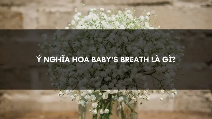 Breath Nghĩa Là Gì? Định Nghĩa, Cách Dùng Và Phân Biệt Với Breathe