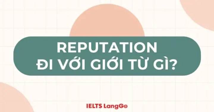 Breeding Ground Là Gì? Nghĩa Tiếng Việt & Cách Dùng Chuẩn Xác