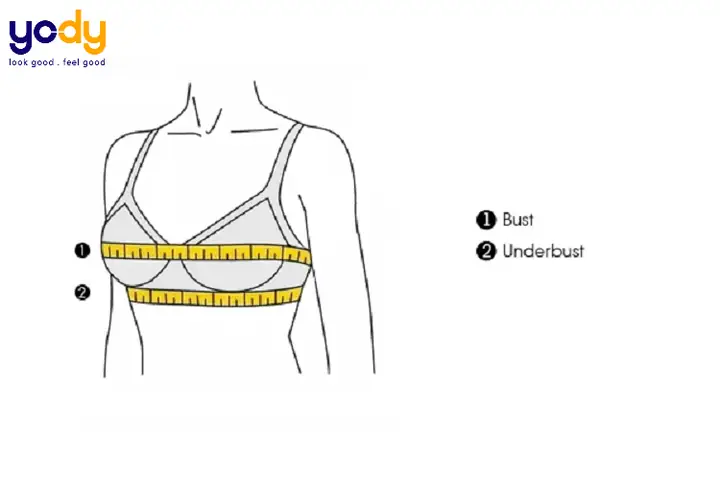 Brust Là Gì? Nghĩa Tiếng Anh Và Thuật Ngữ Thời Trang Liên Quan